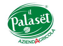 cropped-palaset_logo-3.png